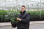Rhododendron-Catawbiense-Boursalt-Potte-40-50